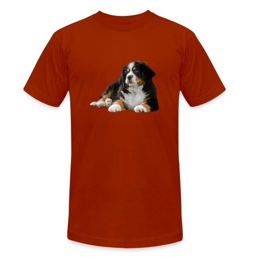 Berner Sennenhund - Unisex Tri-Blend T-Shirt von Bella + Canvas