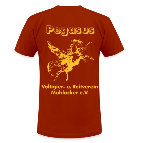 Pegasus Mühlacker Langarmshirts - Unisex Tri-Blend T-Shirt by Bella + Canvas