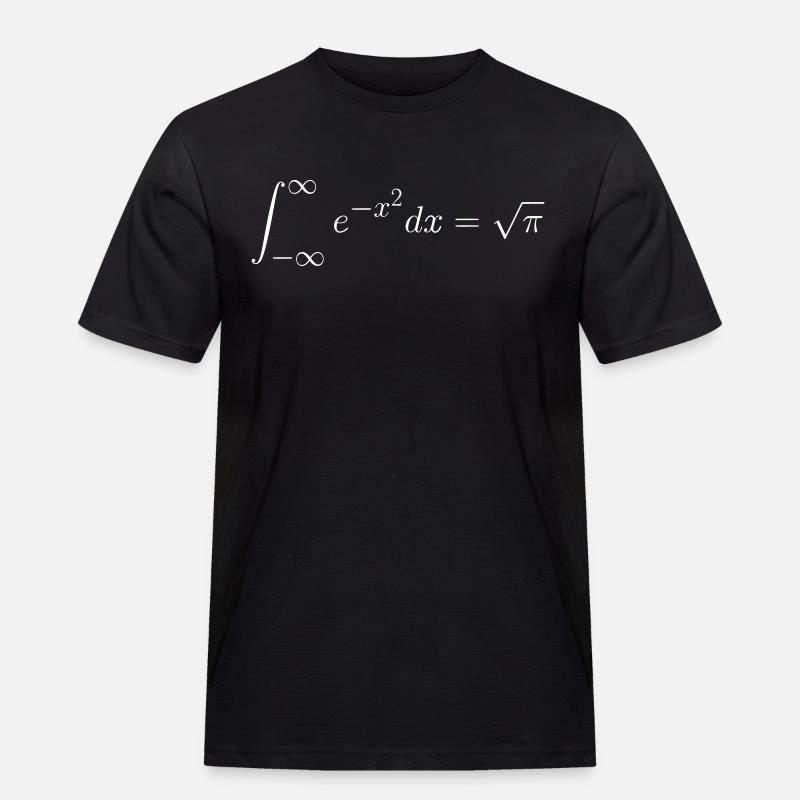 Gaußsches Integral Geschenk Idee - Männer Workwear T-Shirt - Schwarz