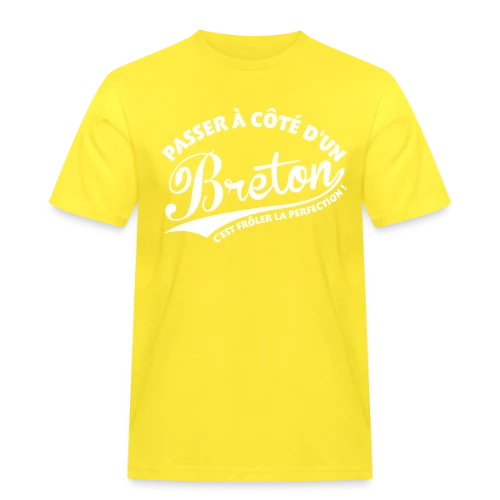 Perfection Bretonne - T-shirt Workwear homme