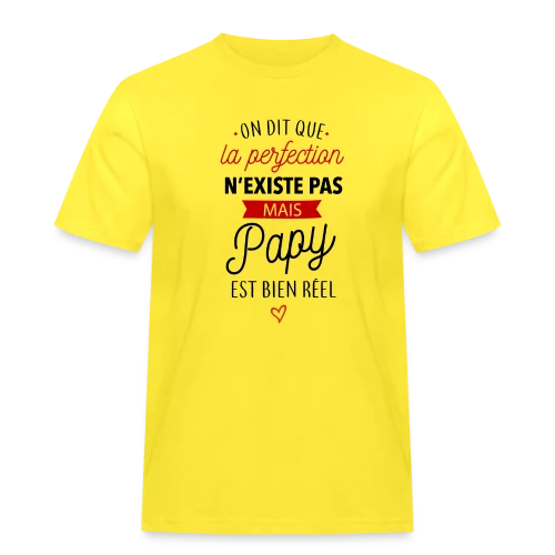 Papy Parfait : La Perfection Faite Homme - T-shirt Workwear homme