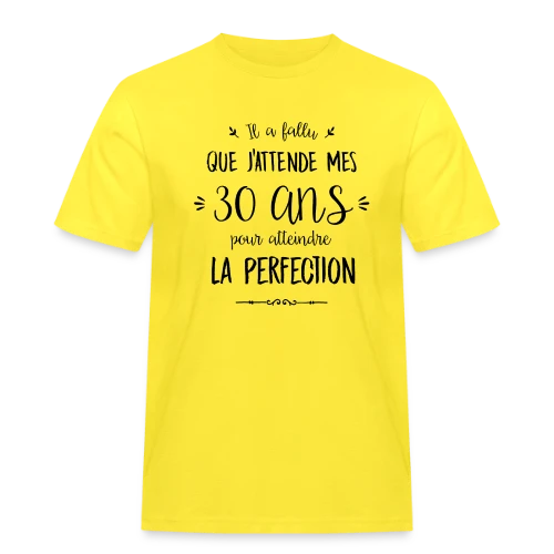 30 Ans : La Perfection Atteinte ! - T-shirt Workwear homme