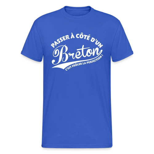 Perfection Bretonne - T-shirt Gildan épais homme