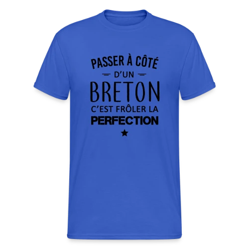 Frôler la Perfection : L'Humour Breton - T-shirt Gildan épais homme