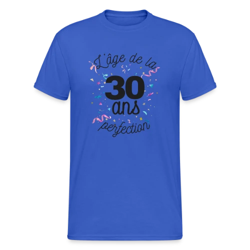 30 Ans : L'Âge de la Perfection - T-shirt Gildan épais homme
