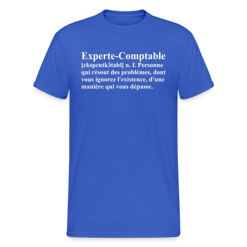Définition de l'Experte-Comptable | T-Shirt Humour Métier Femme - T-shirt Gildan épais homme