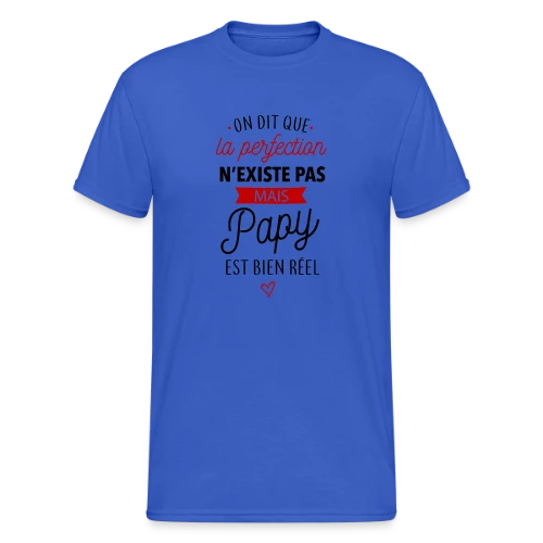 Papy Parfait : La Perfection Faite Homme - T-shirt Gildan épais homme