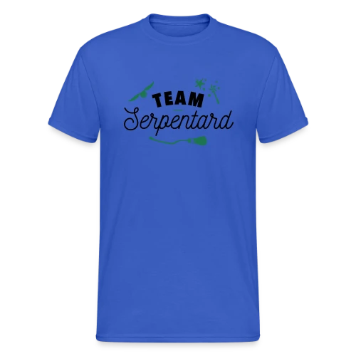 T-shirt Team Serpentard - Fier et Ambitieux - T-shirt Gildan épais homme
