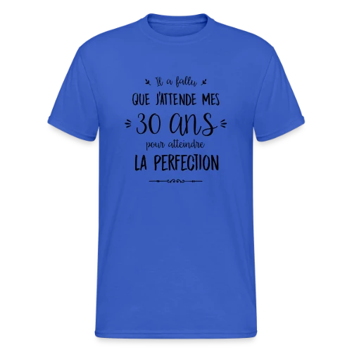 30 Ans : La Perfection Atteinte ! - T-shirt Gildan épais homme