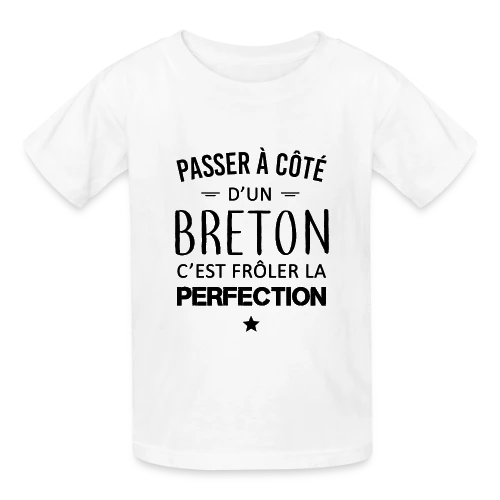 Frôler la Perfection : L'Humour Breton - T-shirts Russell Enfant