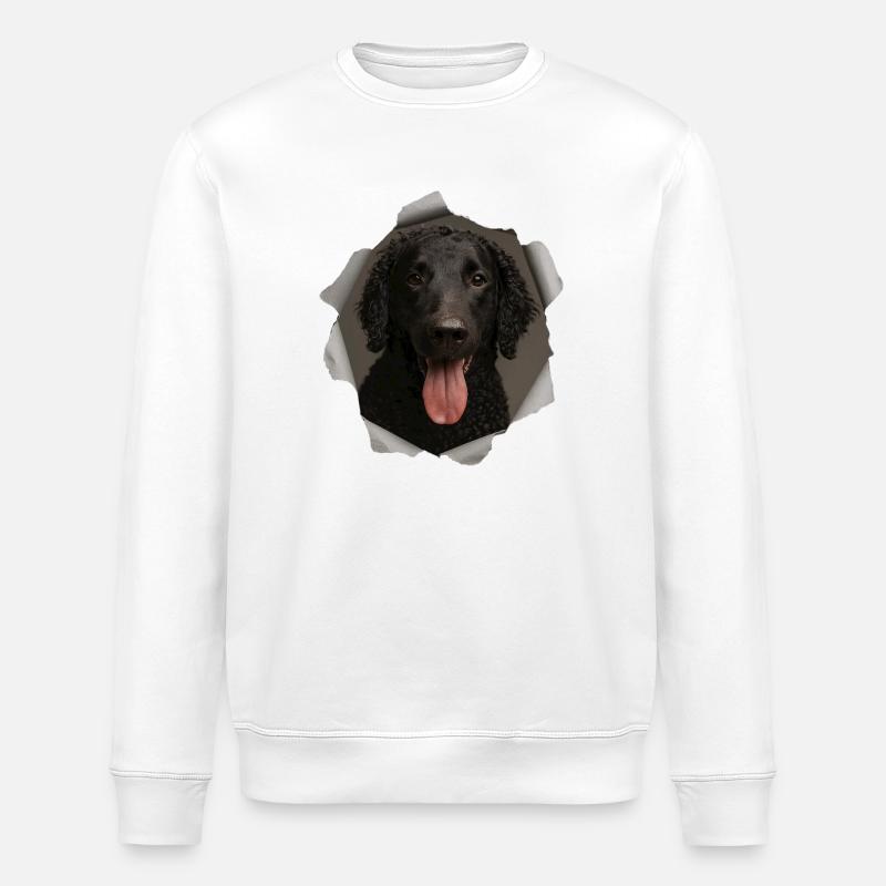 Retriever à poil bouclé - Sweat bio ROLLER Stanley/Stella Unisexe - blanc