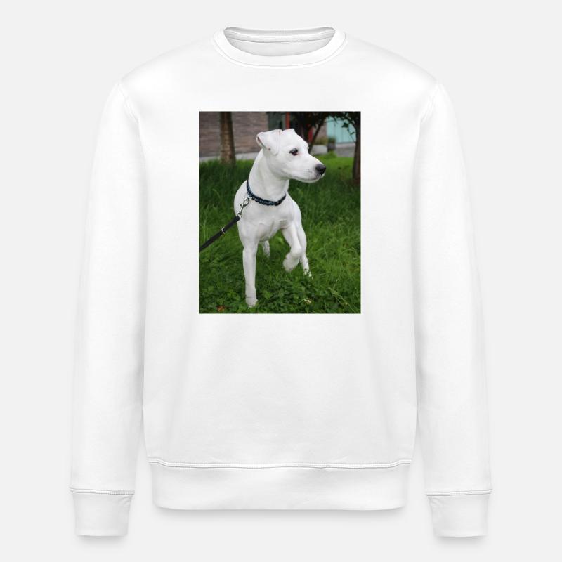 image00004 - Stanley/Stella ROLLER Unisex Organic Sweatshirt - white