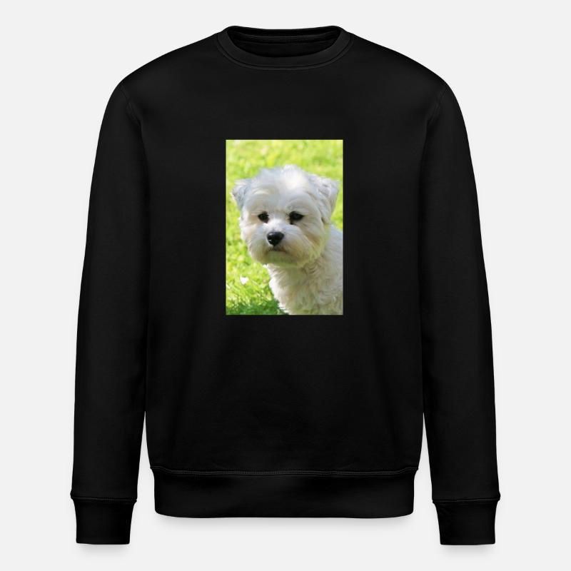 Malteser - Stanley/Stella Unisex Bio-Sweatshirt ROLLER - Schwarz