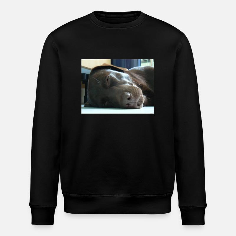 Mein Labrador - Stanley/Stella Unisex Bio-Sweatshirt ROLLER - Schwarz
