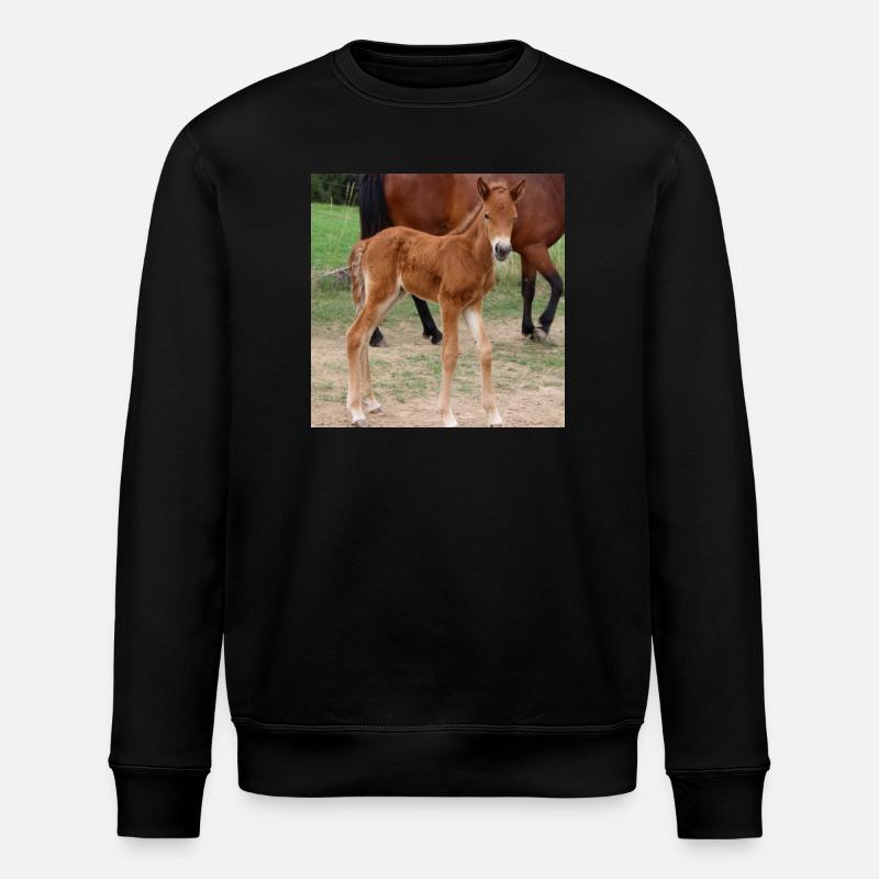 Affiche Cheval Cheval - Sweat bio ROLLER Stanley/Stella Unisexe - noir