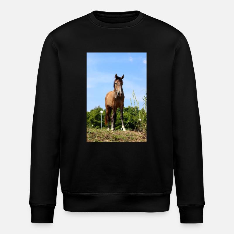 Pferd - Stanley/Stella Unisex Bio-Sweatshirt ROLLER - Schwarz