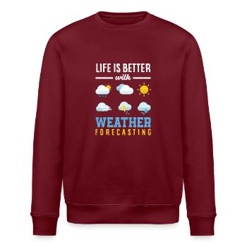 Funny Meteorology Wetterbegeisterte - Stanley/Stella Unisex Bio-Sweatshirt ROLLER - Burgunderrot - Vorne - Nik (191cm)