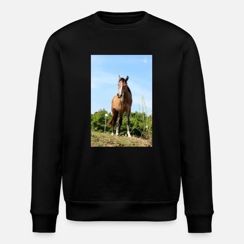 cheval - Sweat bio ROLLER Stanley/Stella Unisexe - noir