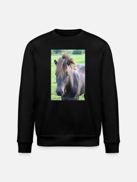 Affiche Cheval Cheval - Sweat bio ROLLER Stanley/Stella Unisexe - noir