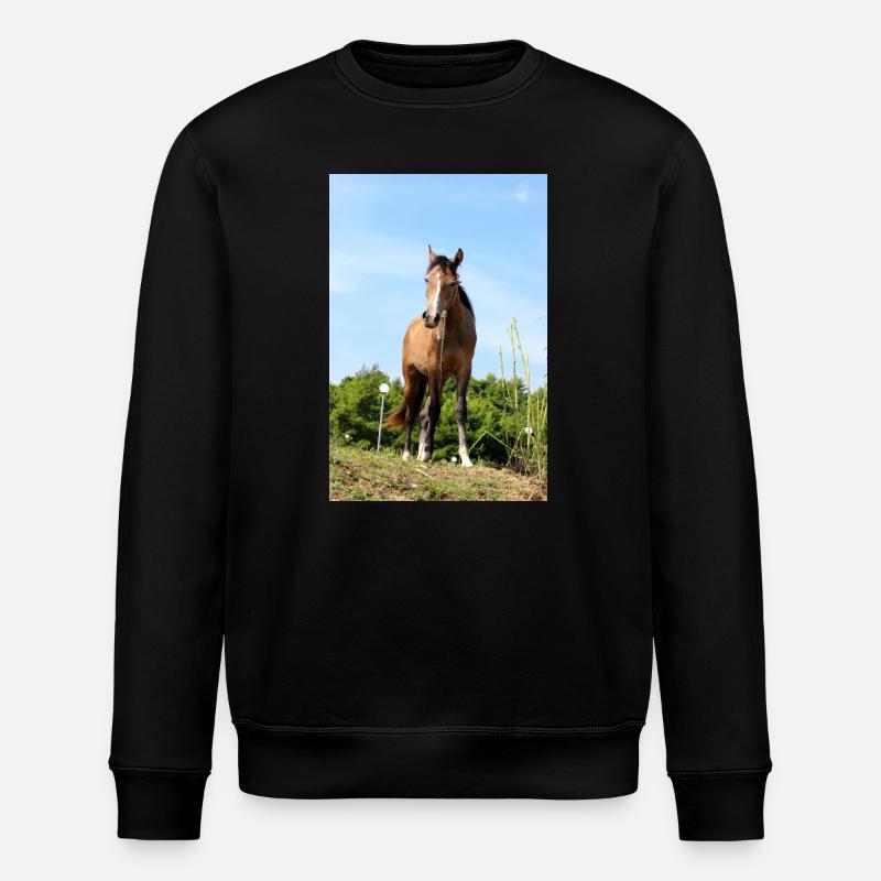 Pferd Pferdeposter - Stanley/Stella Unisex Bio-Sweatshirt ROLLER - Schwarz