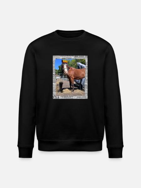 Sunny Princess - Stanley/Stella Unisex Bio-Sweatshirt ROLLER - Schwarz