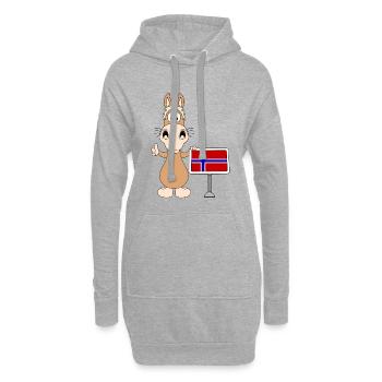 PFERD - NORWEGISCHES FJORDPFERD - NORWEGEN - Hoodie-Kleid - Grau meliert - Vorne