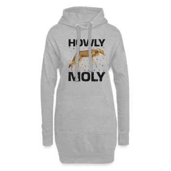 Conception de coyote pour les réacteurs de coyote - Sweat-shirt à capuche long Femme - gris chiné - Devant