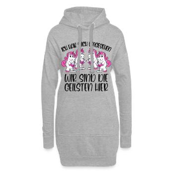 Ich hab mich umgesehen Wir sind die Geilsten hier - Hoodie-Kleid - Grau meliert - Vorne