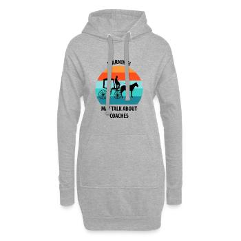 Calèche de cocher Calèche tirée par des chevaux Calèche - Sweat-shirt à capuche long Femme - gris chiné - Devant