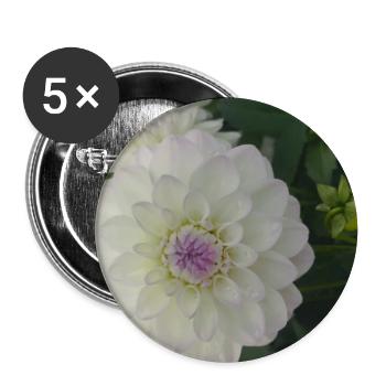 Weiße Dahlia Eveline – Botanisches Blumenfoto - Buttons groß 56 mm (5er Pack) - Weiß - Vorne