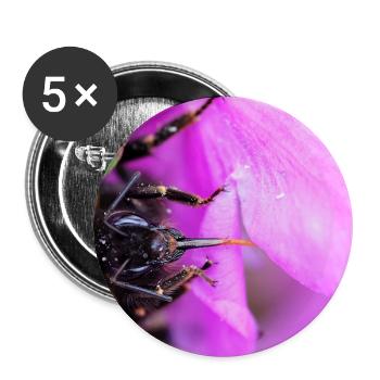 Bee on the violet - Buttons large 2.2''/56 mm (5-pack) - white - Front