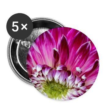 pink dahlia blossom pink flower poster - Buttons large 2.2''/56 mm (5-pack) - white - Front