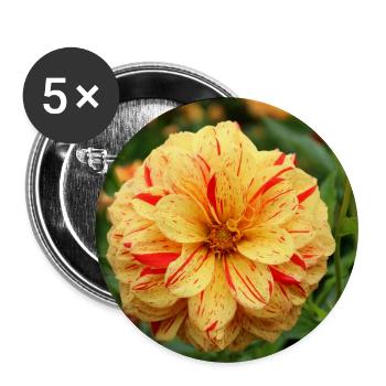 Dahlie Blüte Blume gelb rot - Buttons groß 56 mm (5er Pack) - Weiß - Vorne