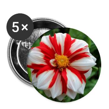 Dahlia White Red Blossom ,Flower - Buttons large 2.2''/56 mm (5-pack) - white - Front