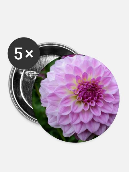 Dahlie pink rosa Blüte ,Blume - Buttons groß 56 mm (5er Pack) - Weiß
