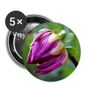 Dahlie rot violett Blüte ,Blume - Buttons groß 56 mm (5er Pack) - Weiß - Vorne