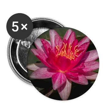 Seerose in Blüte - Nahaufnahme - Buttons groß 56 mm (5er Pack) - Weiß - Vorne