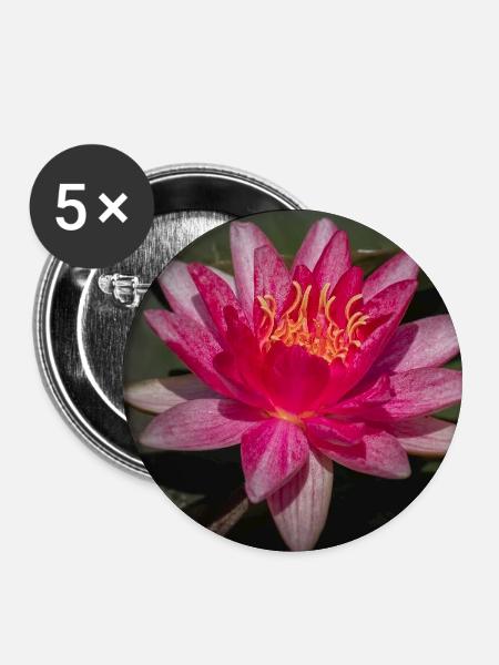 Seerose in Blüte - Nahaufnahme - Buttons groß 56 mm (5er Pack) - Weiß