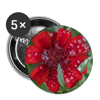 Rote Kleinblattblüte, bedeckt mit Wassertropfen, - Buttons groß 56 mm (5er Pack) - Weiß - Vorne