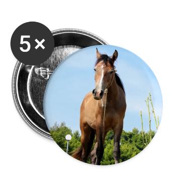 Pferd Pferdeposter - Buttons groß 56 mm (5er Pack) - Weiß - Vorne