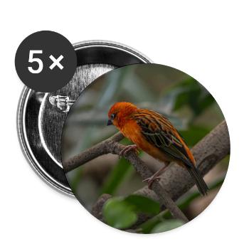 Ein leuchtend orangefarbener tropischer Vogel, der auf einem Baumkleie sitzt - Buttons groß 56 mm (5er Pack) - Weiß - Vorne