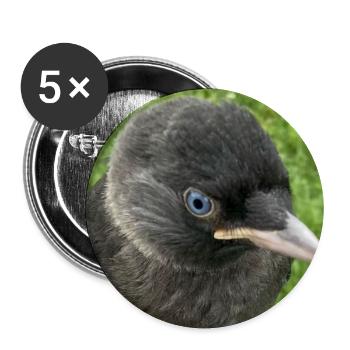  Süße Dohle - Kleiner Schatz - Buttons groß 56 mm (5er Pack) - Weiß - Vorne