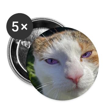Katzenporträt mit violetten Augen - Buttons groß 56 mm (5er Pack) - Weiß - Vorne