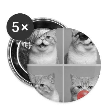 Katzen Exotische Kurzhaar Katze - Buttons groß 56 mm (5er Pack) - Weiß - Vorne