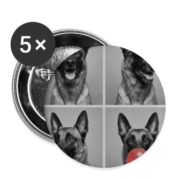 Hunde Belgian Malinois Hund - Buttons groß 56 mm (5er Pack) - Weiß - Vorne