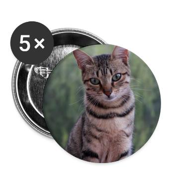 Katze Kätzchen Poster quadratisch Katzenposter - Buttons groß 56 mm (5er Pack) - Weiß - Vorne