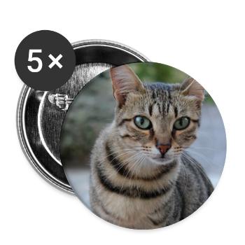 Katze Kätzchen Poster quadratisch Katzenposter - Buttons groß 56 mm (5er Pack) - Weiß - Vorne