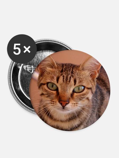 Katze Kätzchen Poster quadratisch Katzenposter - Buttons groß 56 mm (5er Pack) - Weiß