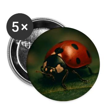 Tiere - Marienkäfer - Buttons groß 56 mm (5er Pack) - Weiß - Vorne