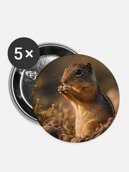 Streifenhörnchen im Herbstlicht - Buttons groß 56 mm (5er Pack) - Weiß